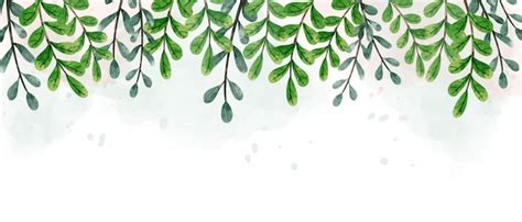 Premium Vector | Green hanging leaves background