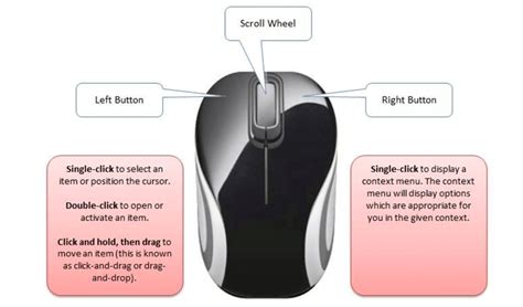 Mouse Button RunDown: What does each button on a mouse do?