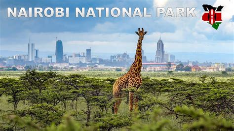 Inside the World's ONLY National Park in a City | Things to do in Nairobi, Kenya. - YouTube