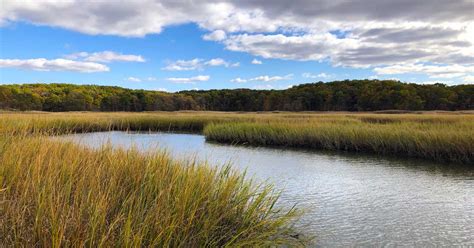 Exploring Cheesequake State Park: New Jersey's Natural Gem