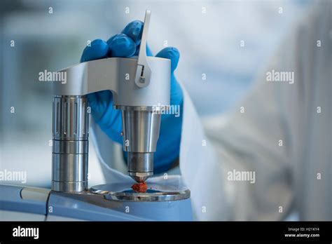 Examination of powder in lab Stock Photo - Alamy