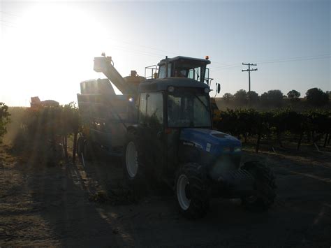 The Mechanics of Machine Harvesting | ViñAlegre Wines – Experience the best kept secret in Paso ...