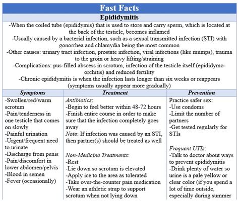 Epididymitis | Demystifying Your Health