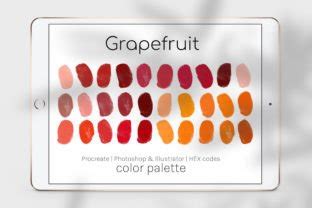 Grapefruit Color Palette Graphic by thedigitaldoodle · Creative Fabrica