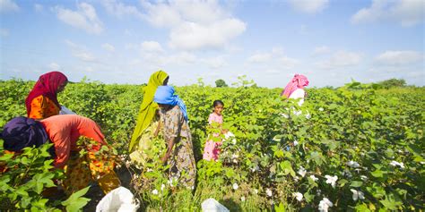 This Bengaluru techie-turned-farmer has made India’s first agri-tech ...