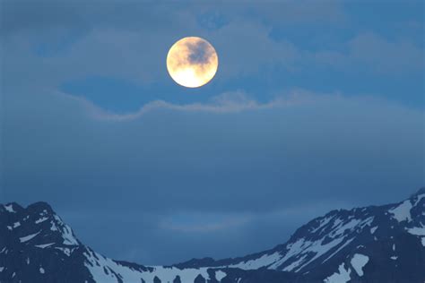 Summer Solstice in Homer, Alaska. Photo by Lauren Ann Ebbecke Summer Solstice, Life Purpose ...