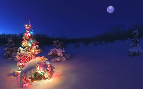 Christmas Tree with Lights in the Snow | Christmas scenery, Christmas lights wallpaper ...