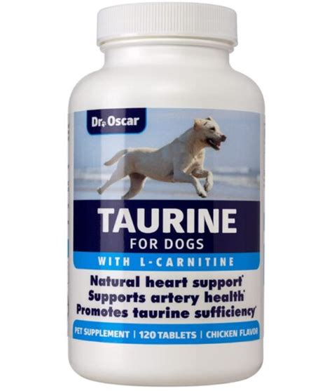 The 14 Best Heart Supplements For Dogs