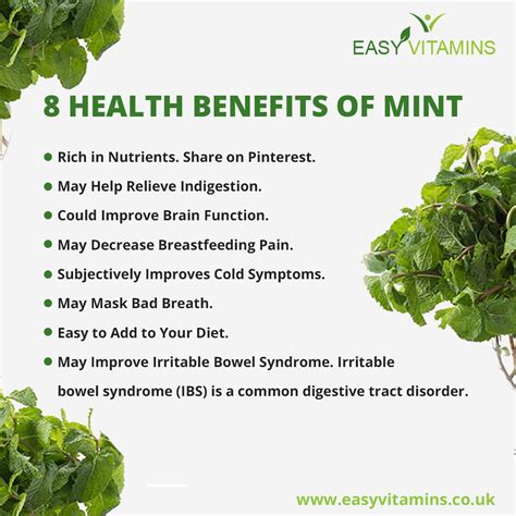 Benefits of mint | Mint benefits health, Herbs for health, Mint benefits