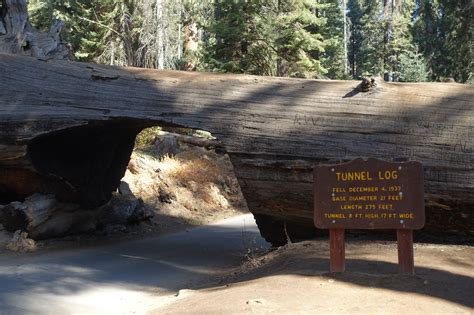 Tunnel Log • Natural Monument » outdooractive.com