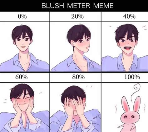 Blush Meter Meme Template - HumorNama