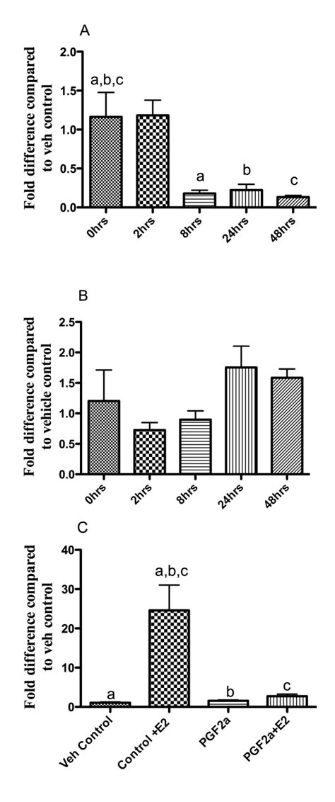 Cell based studies suggest that local biosynthesis of prostaglandin ...