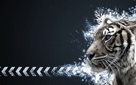 HD wallpaper: abstract, background, tiger | Wallpaper Flare