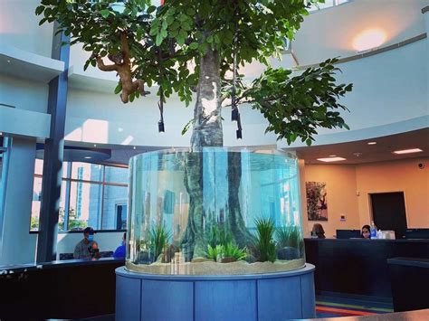 Custom Aquarium Design & Installation | The Fish Gallery