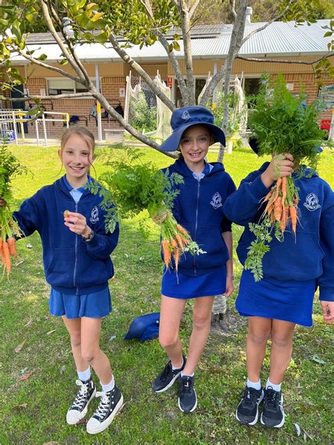 Empire Bay Public School – Central Coast Edible Garden Trail