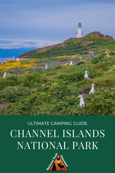 Channel Islands Camping: Everything You Need To Know (2024 Update) - National Park Obsessed