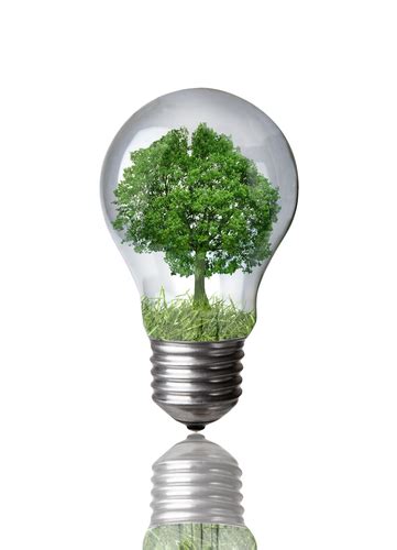 CFL vs Incandescent Bulbs: An Overview of an Energy Efficiency Lighting Experiment by Paul ...