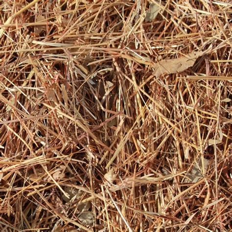 Straw Mulch - Small Bale