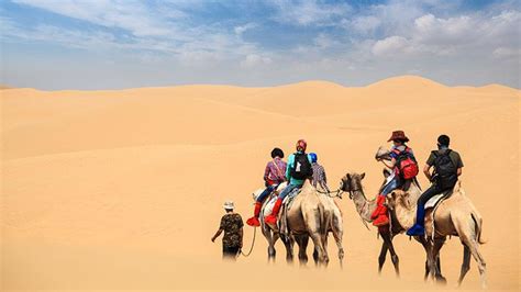 Datos que No Sabías Sobre el Desierto de Gobi - Horseback Mongolia