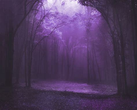 Purple Fae Forest by Artessan on DeviantArt