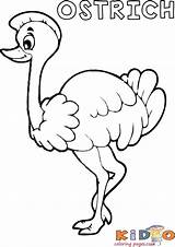Ostrich Coloring Page sketch template