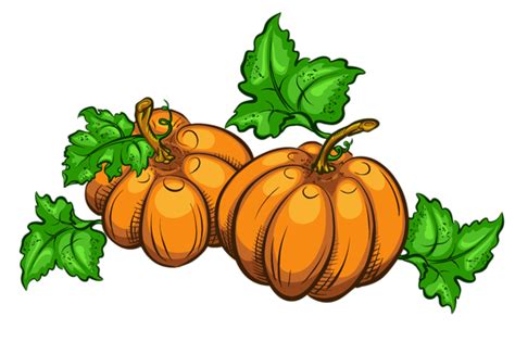 Transparent Pumpkins PNG Clipart Picture | Clip art, Pumpkin png, Pumpkin