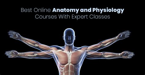 human anatomy and physiology online course – CollegeLearners.com