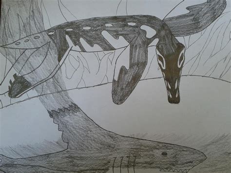 Liopleurodon Vs. Megalodon VI Drawing by Dair Ancrile | Pixels