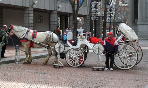 Take a horse & buggy ride through downtown Boston