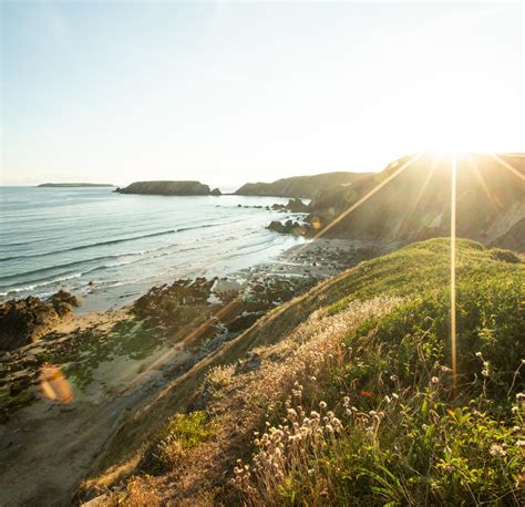 Exploring the Pembrokeshire Coast National Park | Visit Wales