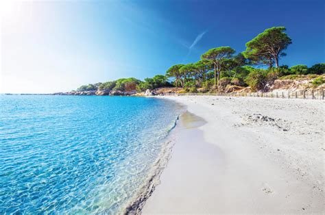 Palombaggia Beach Porto-Vecchio - Corsica - Global Entrepreneur Network