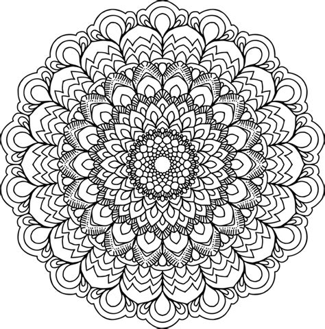 Line Art,Flower,Symmetry PNG Clipart - Royalty Free SVG / PNG