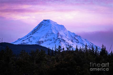 Mt. Hood Winter Photograph by Zach Deets - Fine Art America