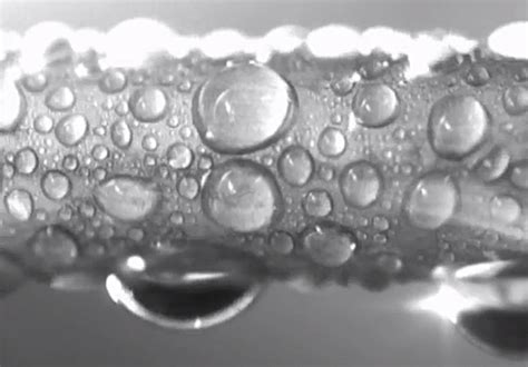 Explained: Hydrophobic and hydrophilic