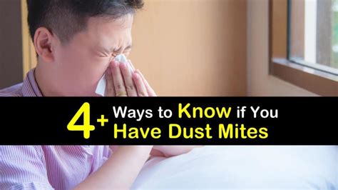 4+ Ways to Know if You Have Dust Mites