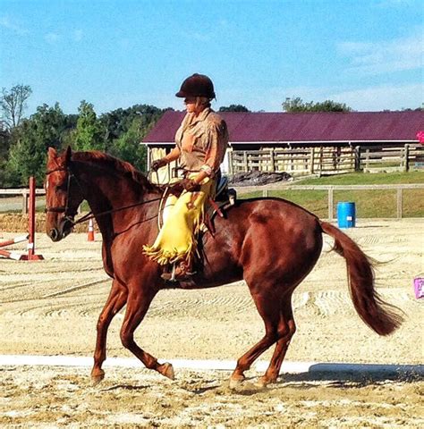 Working Equitation - YourDressage.org