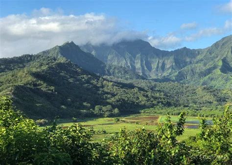 Kauai Vs Maui – Which Hawaiian Island is the Best Choice for You?