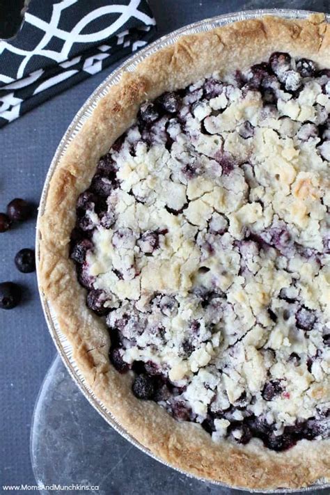 Saskatoon Berry Pie (Easy Recipe) - Moms & Munchkins