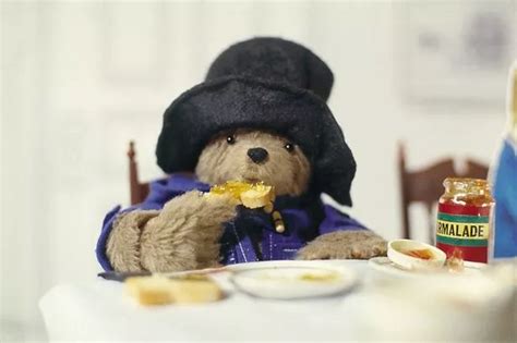 Make like Paddington and bring out the marmalade - Wales Online