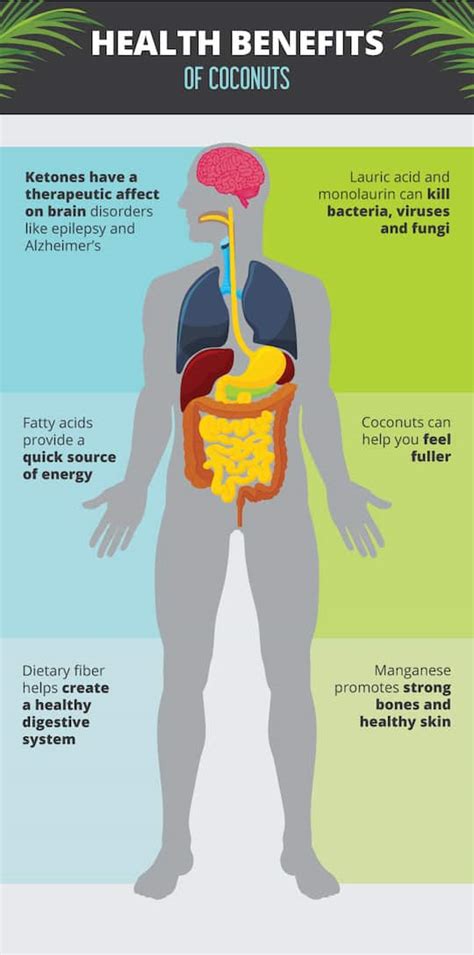 Health Benefits of Coconut | VegKitchen.com