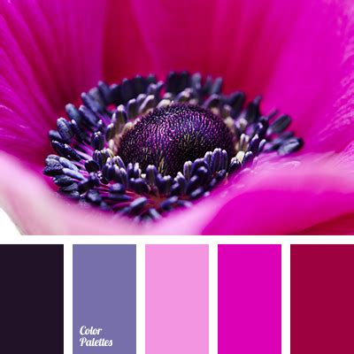 fuchsia | Color Palette Ideas