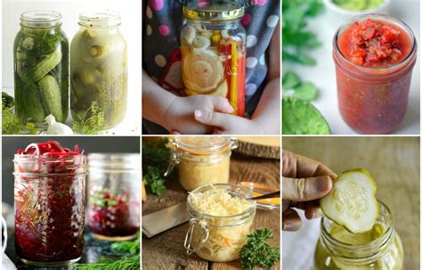 Over 40 Delicious and Easy Fermented Veggie Recipes :: GAPS, Paleo & Vegan