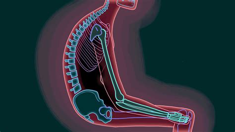 To Fix That Pain In Your Back, You Might Have To Change The Way You Sit ...