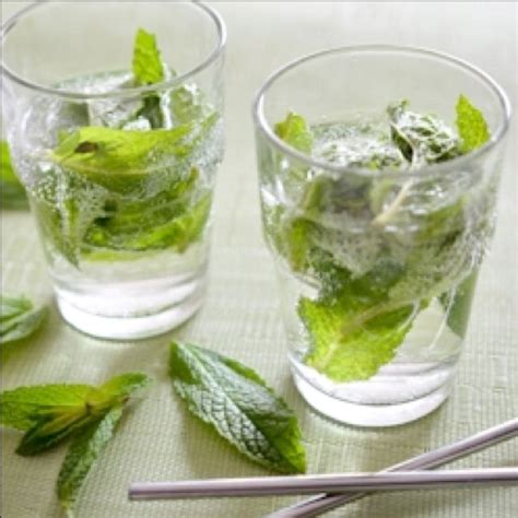 fresh mint mojitos | Mint mojito, Fruity drinks, Perfect summer cocktails