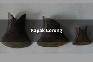 Kapak Corong : Sejarah, Gambar, Fungsi dan Jenisnya - LezGetReal