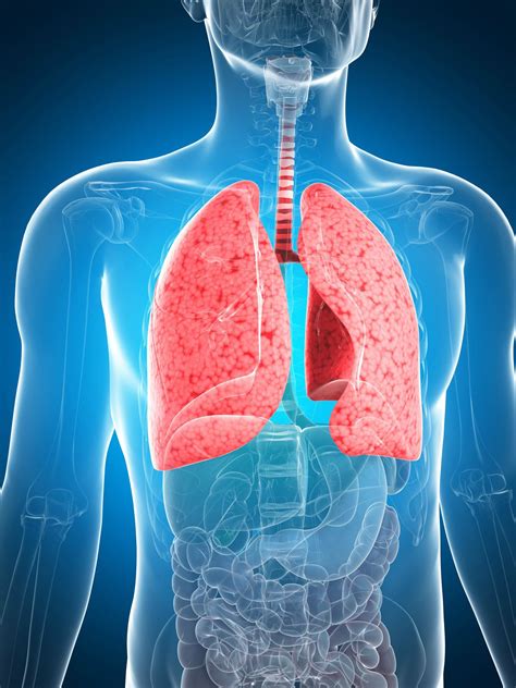 Bacterial Pneumonia in People with COPD