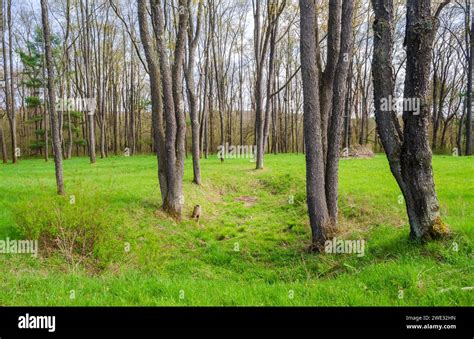 The Town of Pithole, a ghost town in Cornplanter Township, Venango County, Pennsylvania, United ...