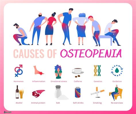 OSTEOPENIA - Symptoms, Causes, Risk Groups, Prevention and Treatment - Ecosh