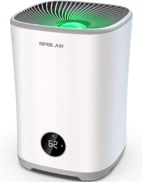 5 Best Cool Mist Humidifiers - Reviews and Buyer's Guide 2022