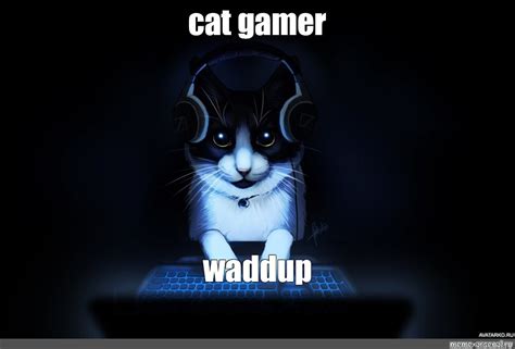 Meme: "cat gamer waddup" - All Templates - Meme-arsenal.com